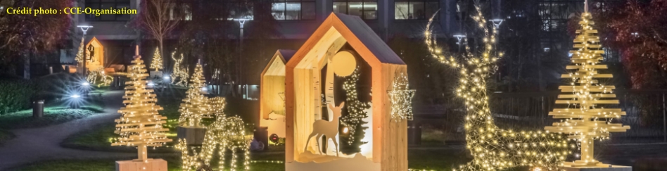 scene-sapins-noel-cce-organisation